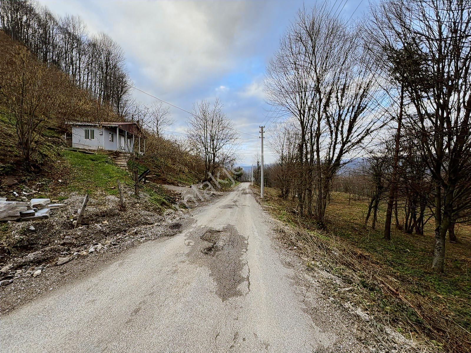 Ruşen Aydın Gyd'dan Kaynaşlı Eskiköy Mahallesinde Satılık Arazi - Görsel 2