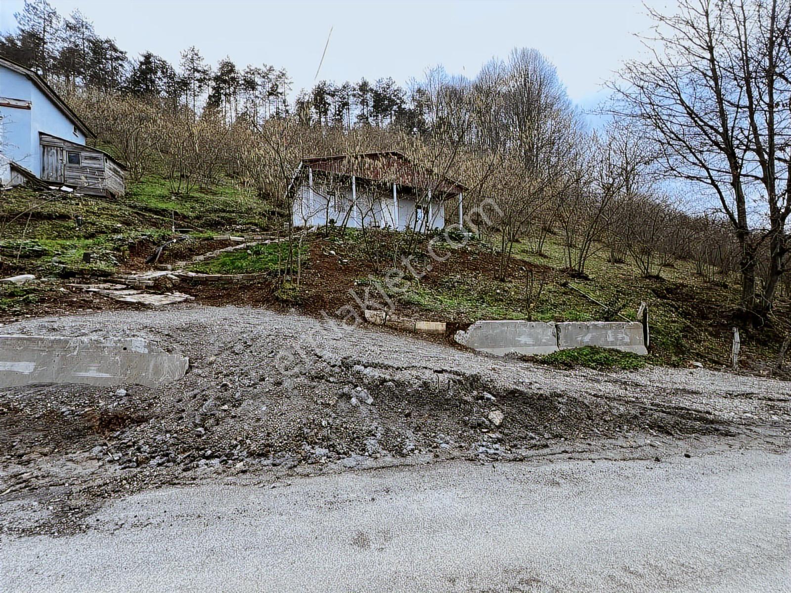 Ruşen Aydın Gyd'dan Kaynaşlı Eskiköy Mahallesinde Satılık Arazi - Görsel 22