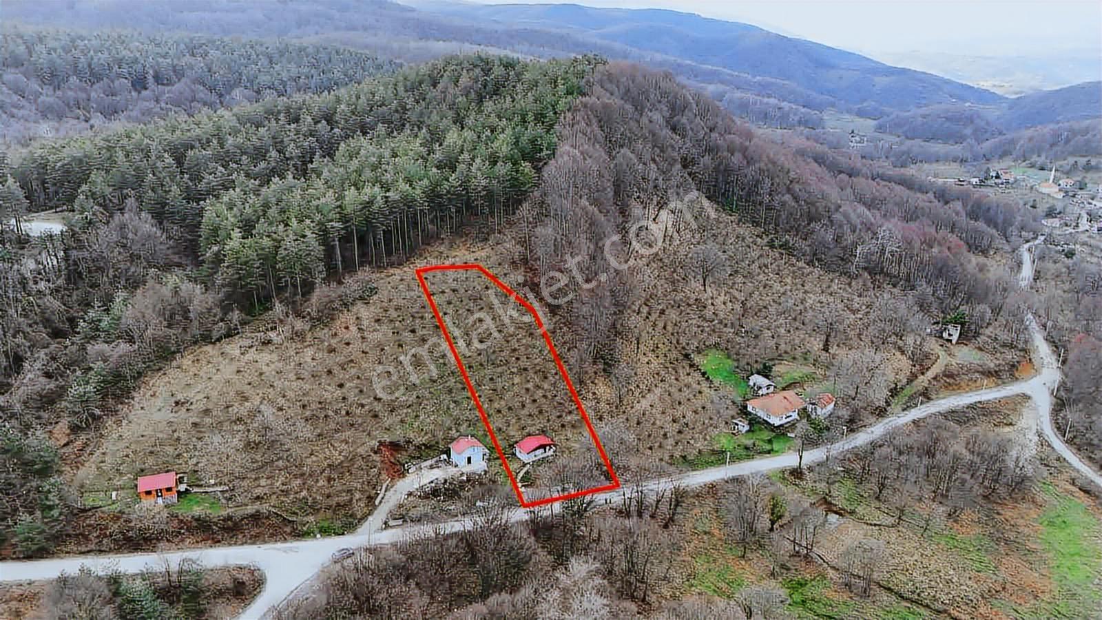 Ruşen Aydın Gyd'dan Kaynaşlı Eskiköy Mahallesinde Satılık Arazi - Görsel 24