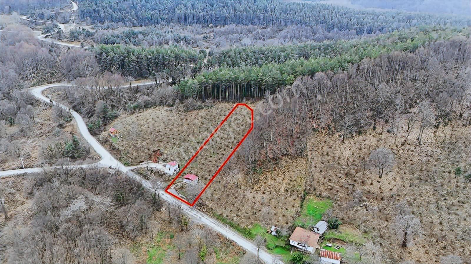 Ruşen Aydın Gyd'dan Kaynaşlı Eskiköy Mahallesinde Satılık Arazi - Görsel 27