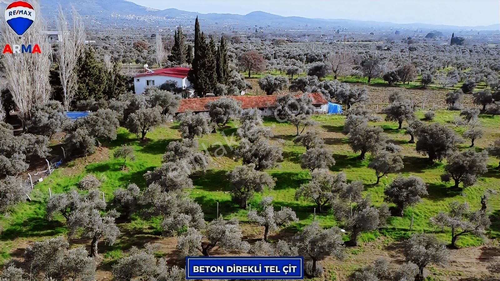 Torbalı Karakuyu'da Satılık Zeytınlık Tek Tapu - Görsel 10
