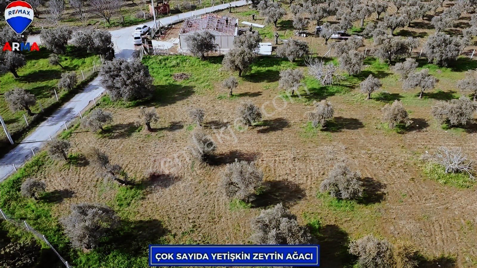Torbalı Karakuyu'da Satılık Zeytınlık Tek Tapu - Görsel 33