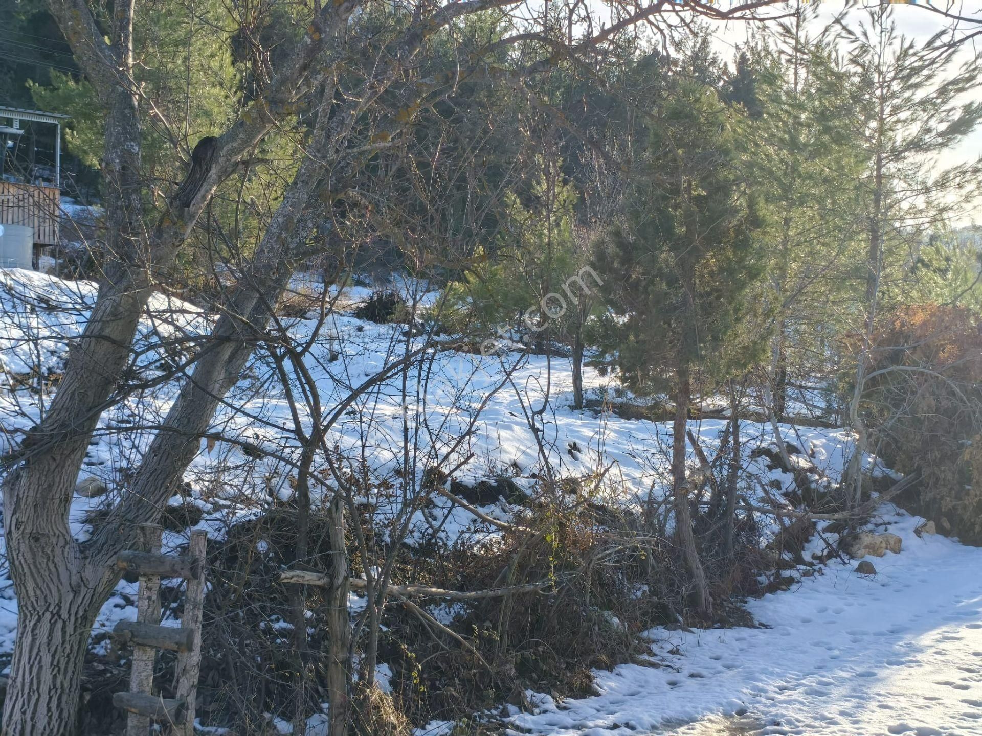 Kar Emlaktan Eski Konacıkta 1 Dönüm Satılık Arsa - Görsel 16