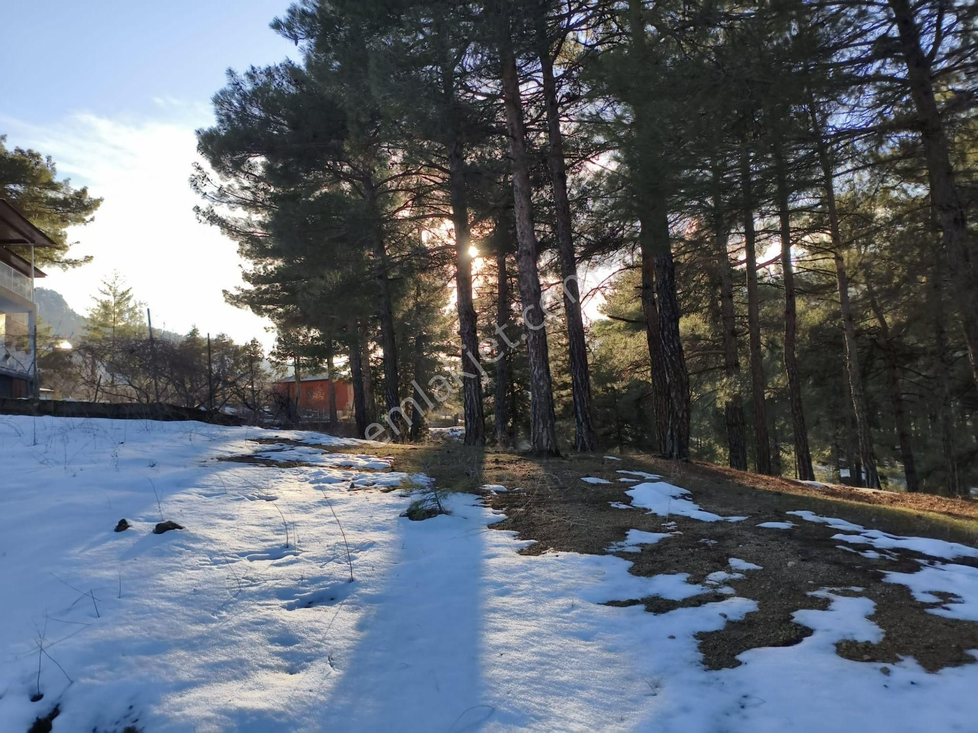 Kar Emlaktan Eski Konacıkta 1 Dönüm Satılık Arsa - Görsel 3