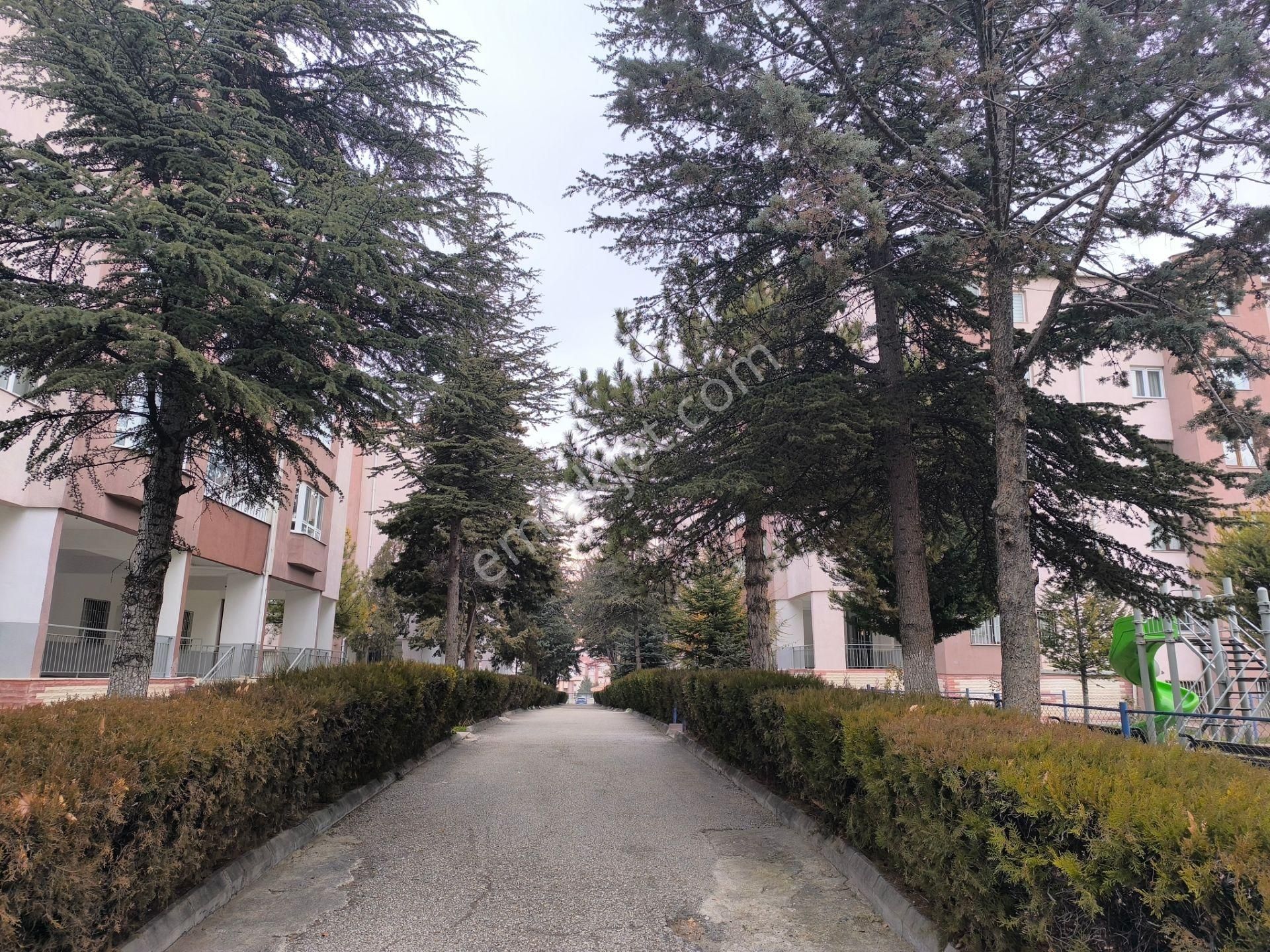 Anadolu'dan Batı Adliyesi Yanında 3+1 Kombili Boyası Sıfır