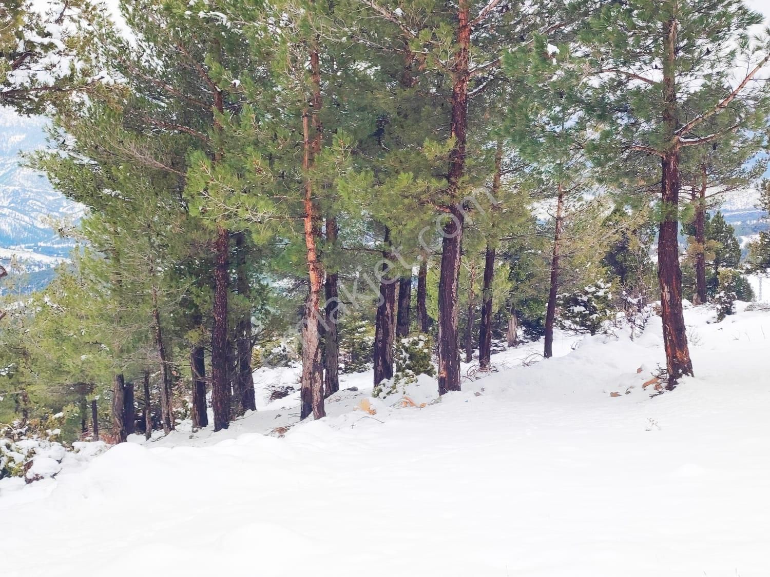 Kar Emlaktan Yeni Konacık Bozkırlı Mevkiinde 450 M2 Satılık Arsa - Görsel 29