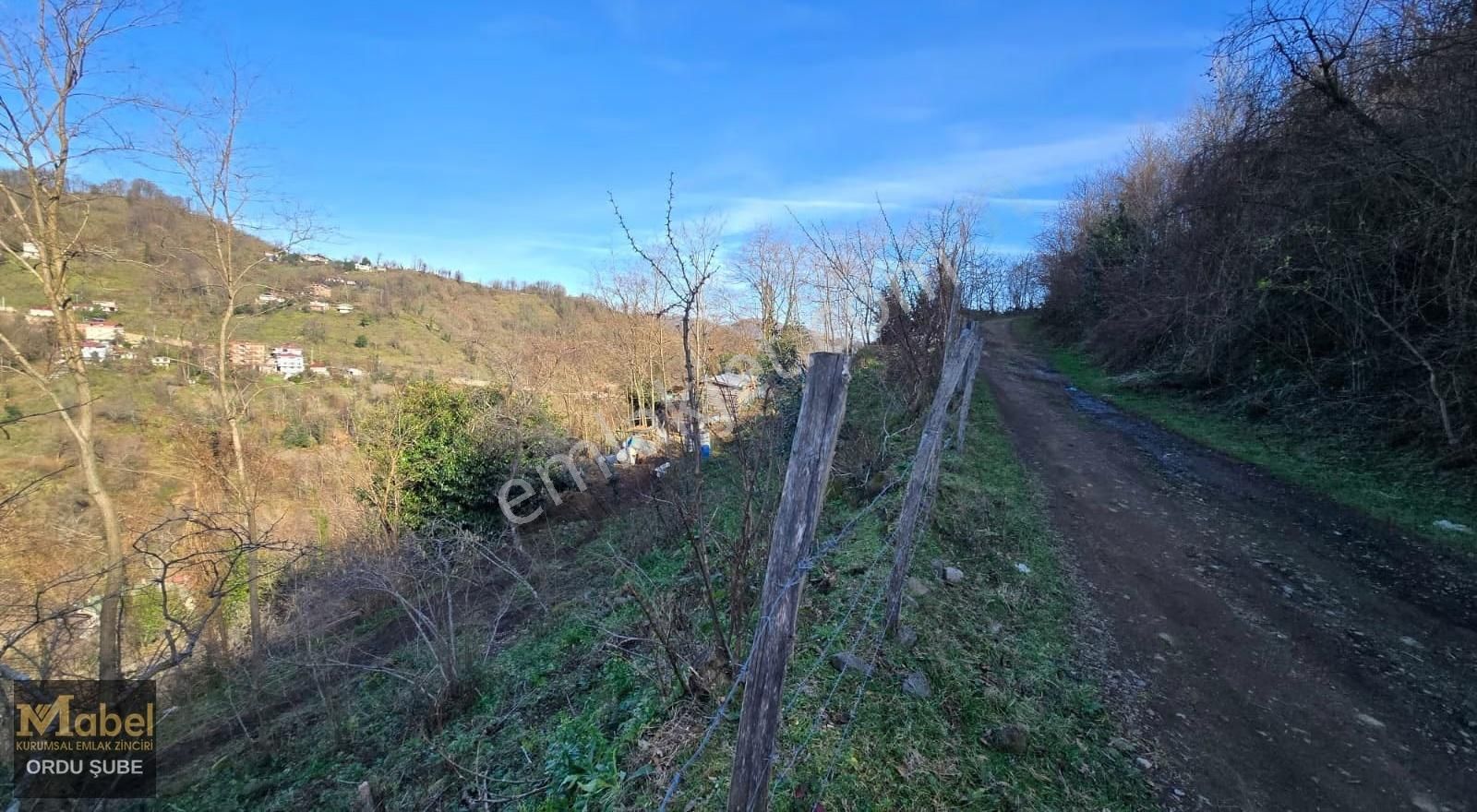 Mabel'den -perşembe Şenyurtta-mandıralı-yol Kenarı Bahçe - Görsel 7