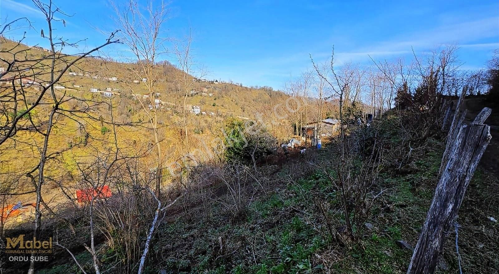 Mabel'den -perşembe Şenyurtta-mandıralı-yol Kenarı Bahçe - Görsel 12