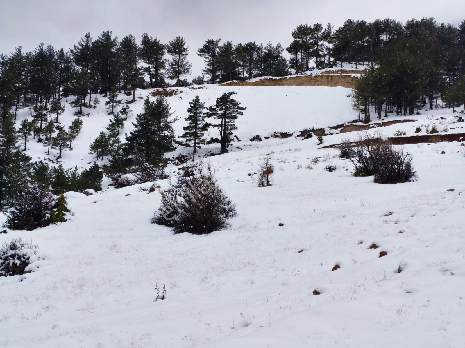 Kar Emlaktan Yeni Konacık Bozkırlı Mevkiinde 400 M2 Satılık Arsa - Görsel 10