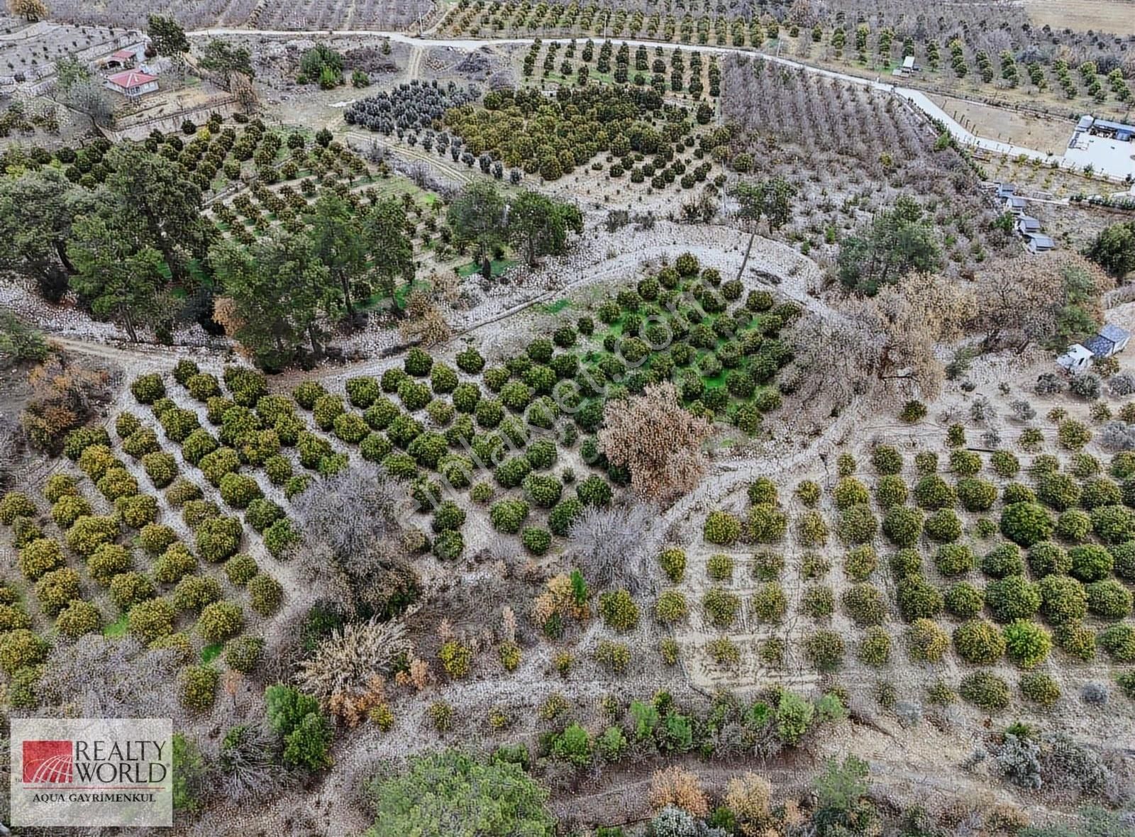 Konyaaltı Akdamlarda Satılık Tek Tapulu Düz Arazi - Görsel 5