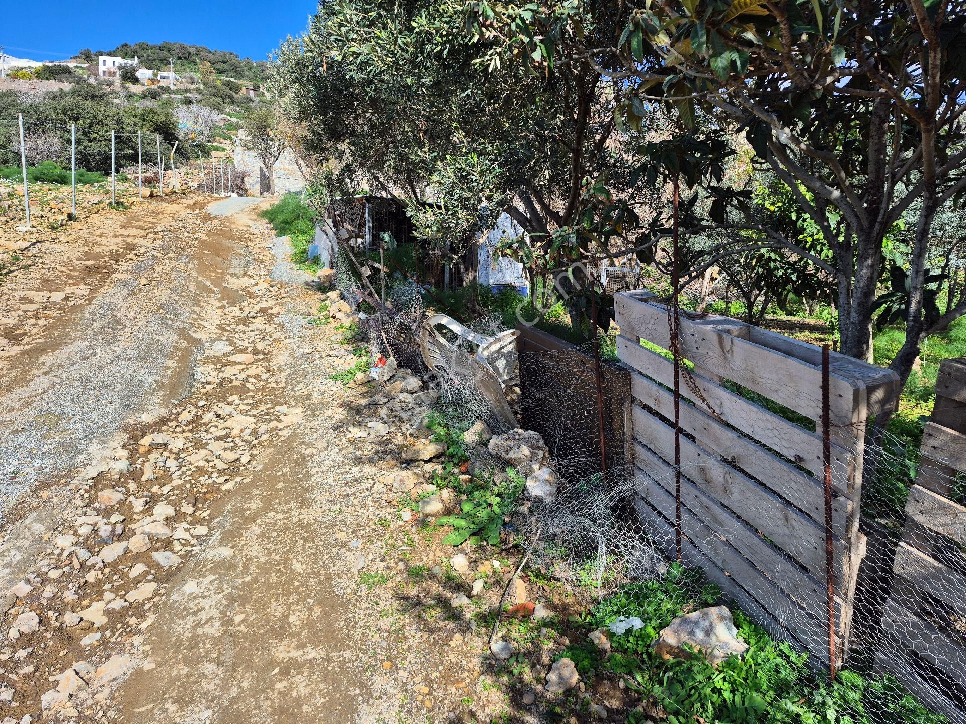 Bodrum Gümüşlük Merkezde Ssatılık130 M2 İmarlı Arazi - Görsel 3