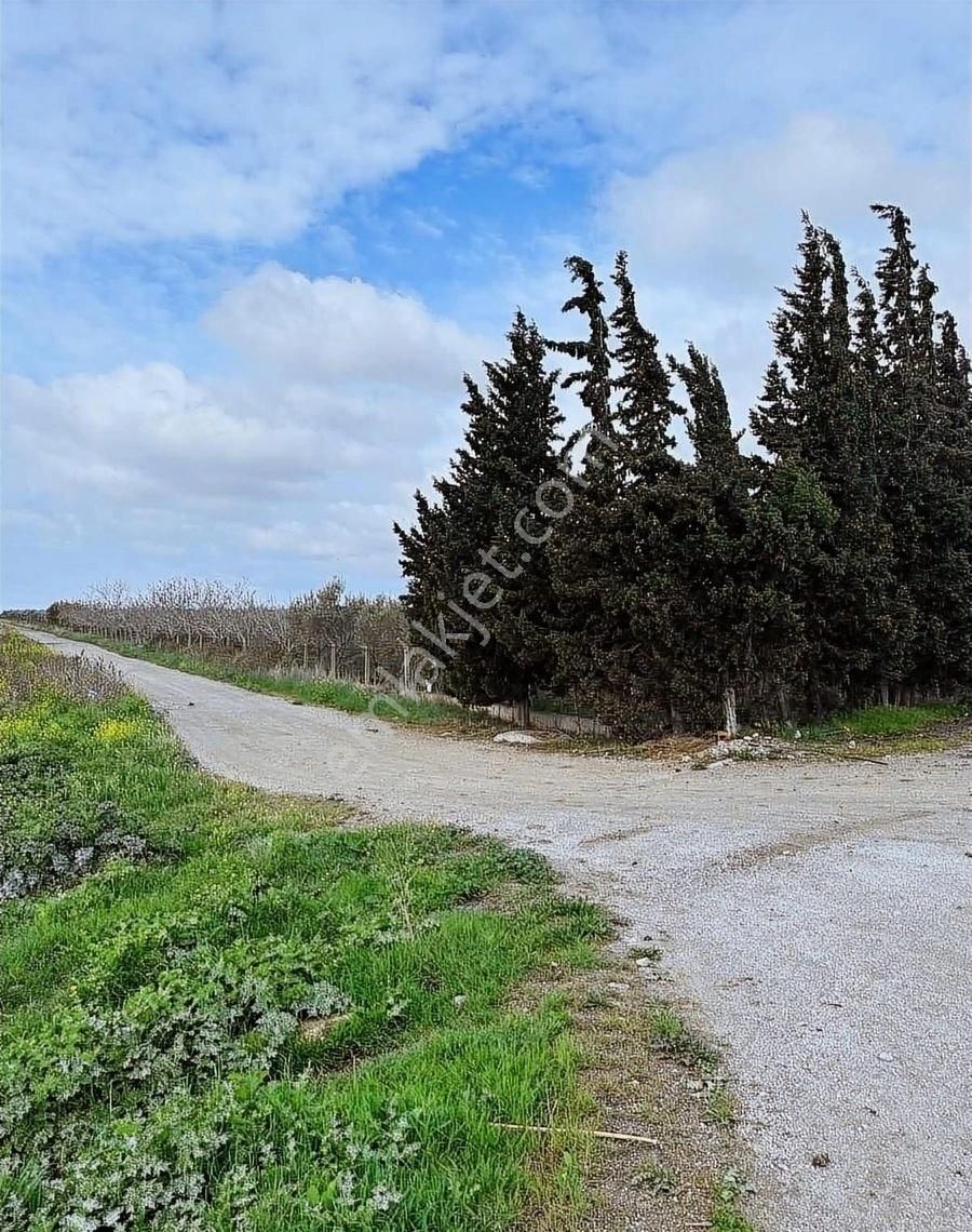 Çandarlı İzmir Karayoluna 60m Cepheli 6000m2 Satılık Tarla - Görsel 9