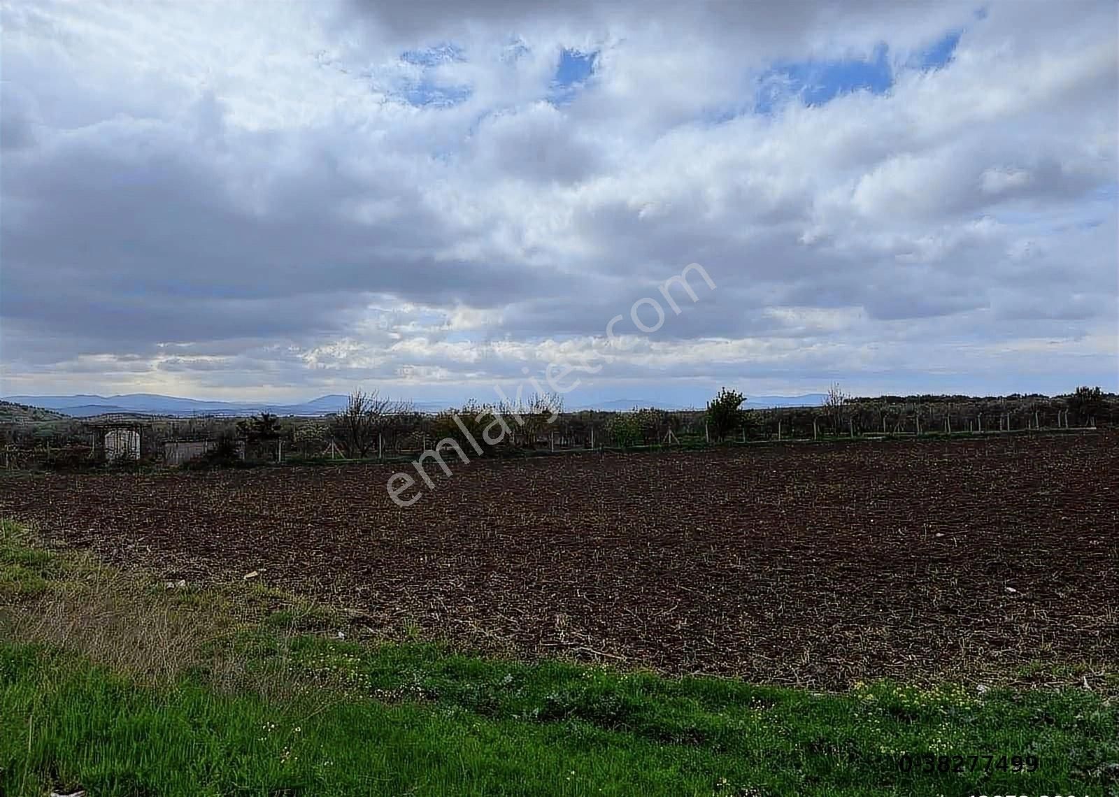 Çandarlı İzmir Karayoluna 60m Cepheli 6000m2 Satılık Tarla - Görsel 16