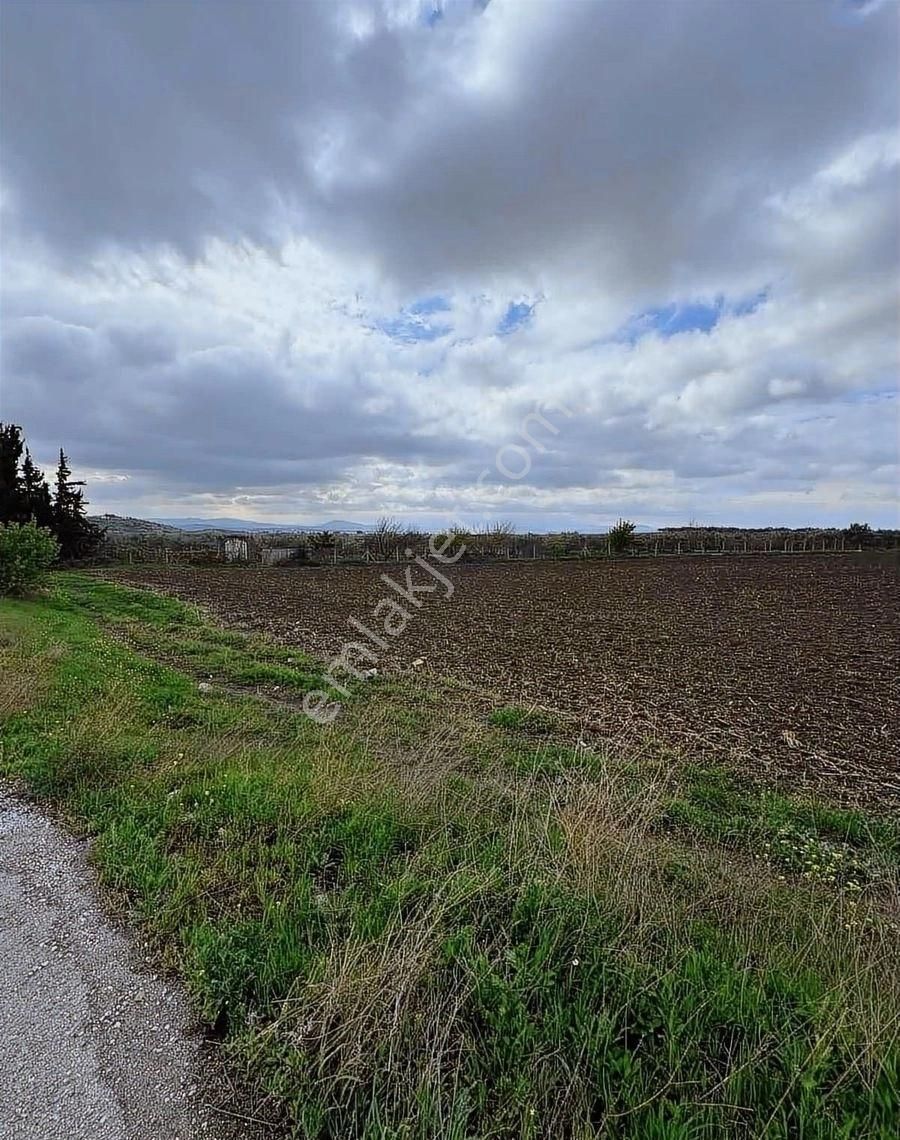 Çandarlı İzmir Karayoluna 60m Cepheli 6000m2 Satılık Tarla - Görsel 17