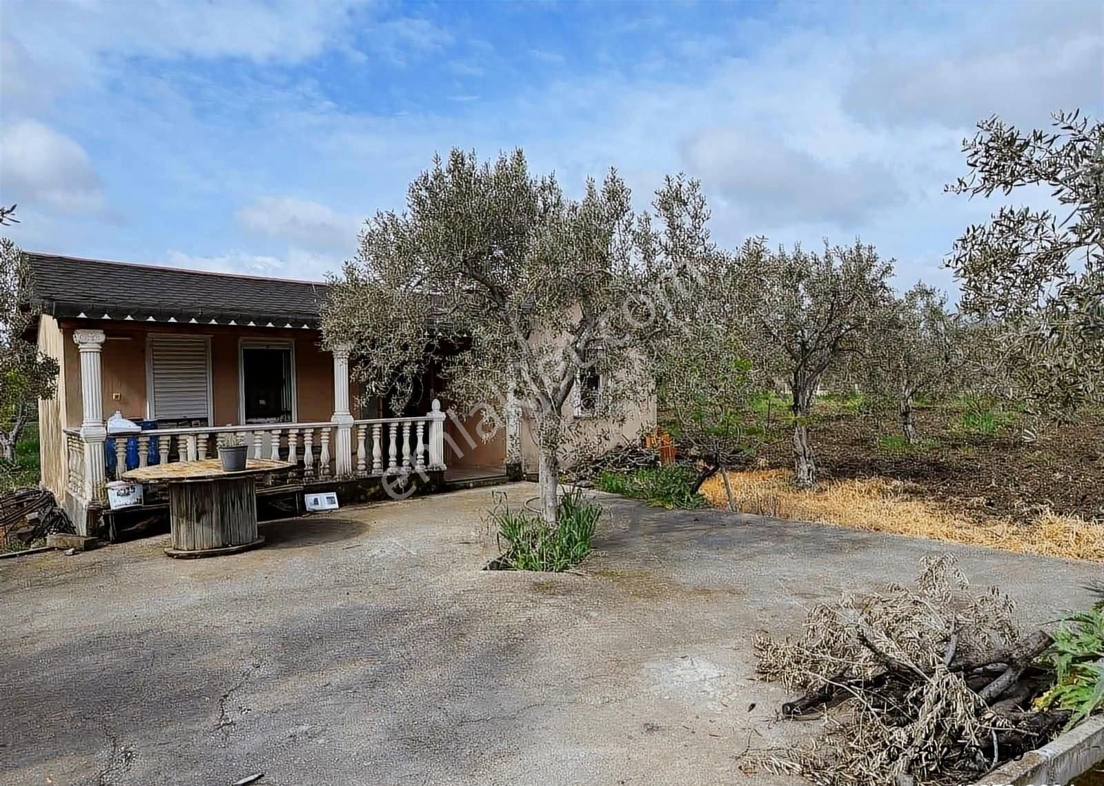 Çandarlı İzmir Karayoluna 60m Cepheli 6000m2 Satılık Tarla