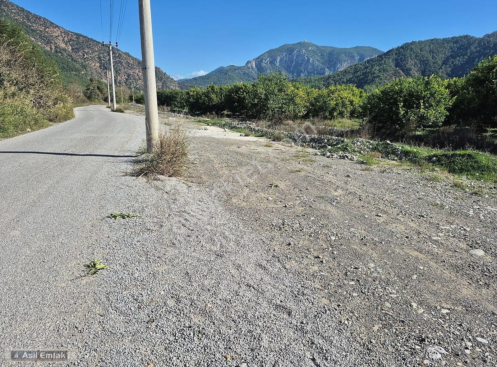 Asil Emlaktan Ortaca Çaylı Mah. De Satılık 7 Dönüm Tarla - Görsel 2