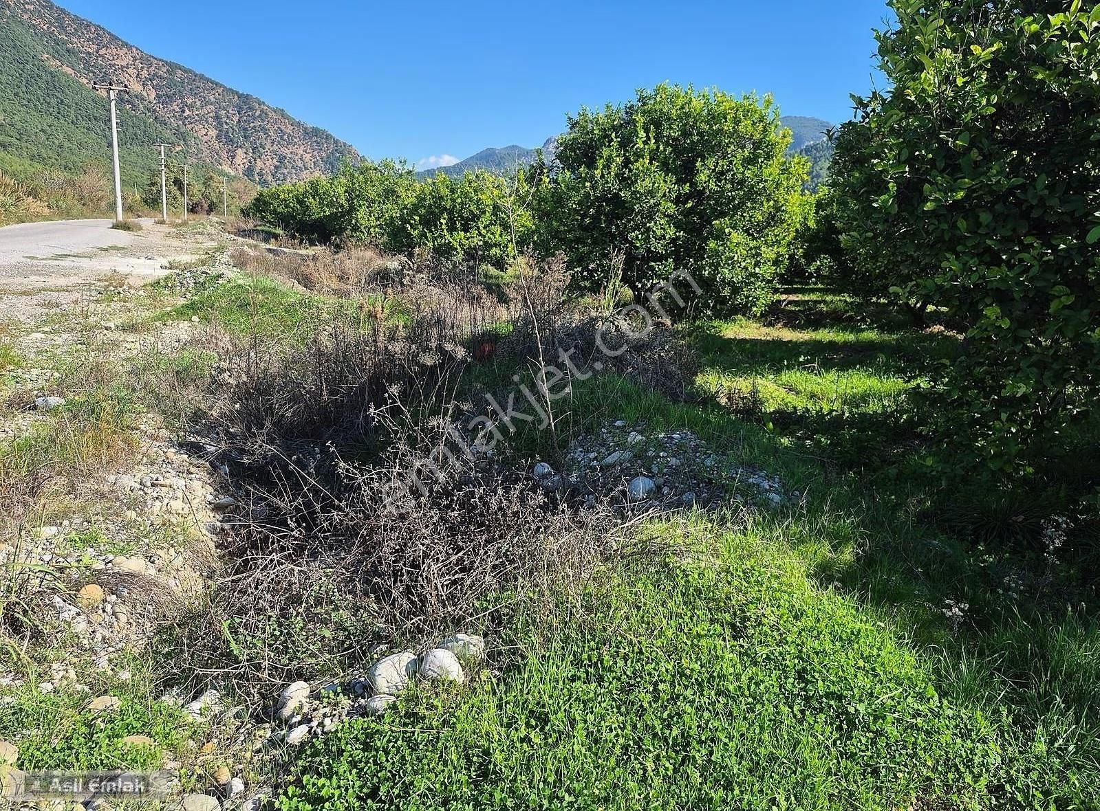 Asil Emlaktan Ortaca Çaylı Mah. De Satılık 7 Dönüm Tarla - Görsel 32