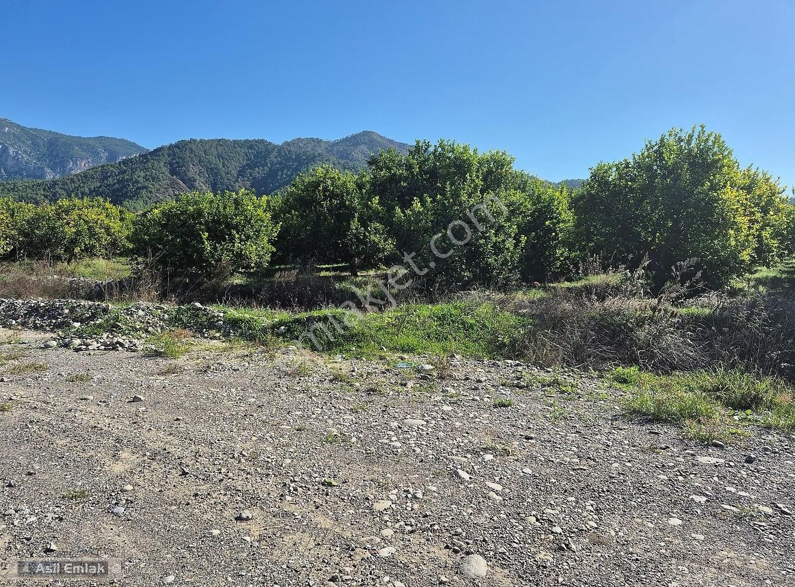 Asil Emlaktan Ortaca Çaylı Mah. De Satılık 7 Dönüm Tarla - Görsel 28