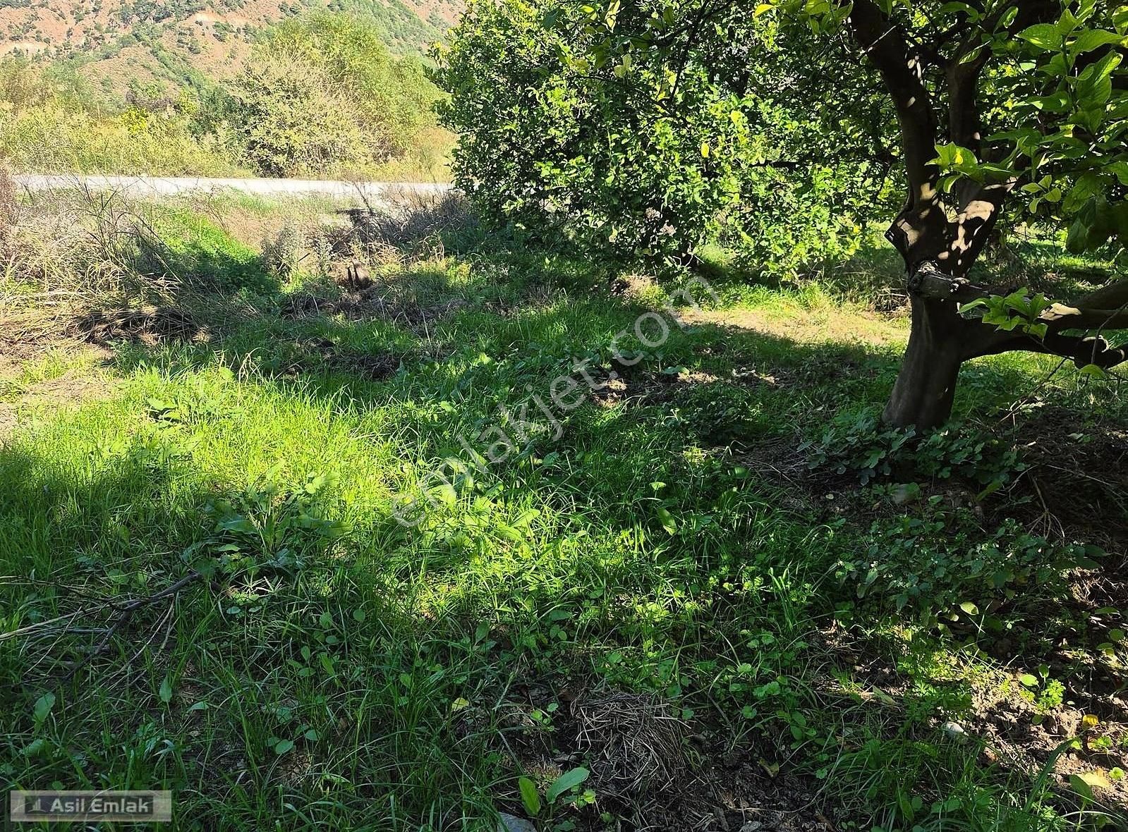 Asil Emlaktan Ortaca Çaylı Mah. De Satılık 7 Dönüm Tarla - Görsel 26