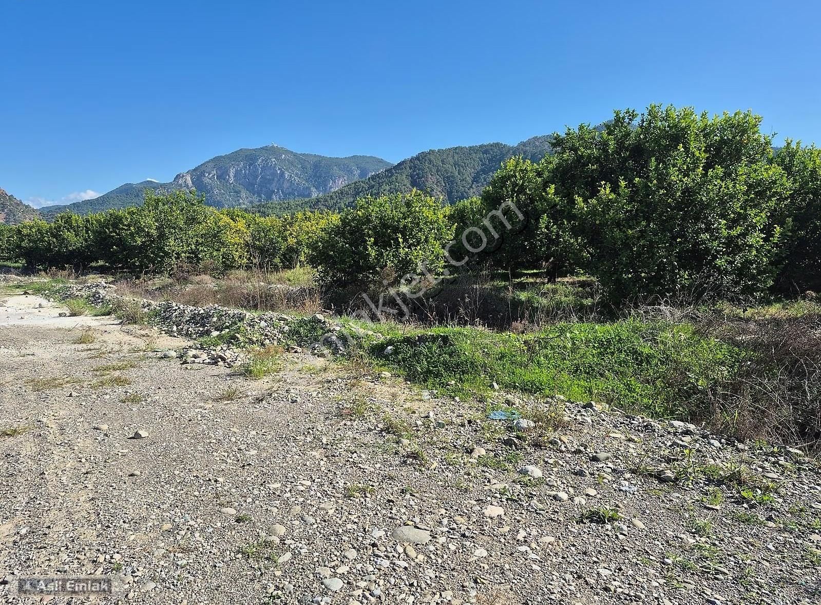 Asil Emlaktan Ortaca Çaylı Mah. De Satılık 7 Dönüm Tarla - Görsel 34