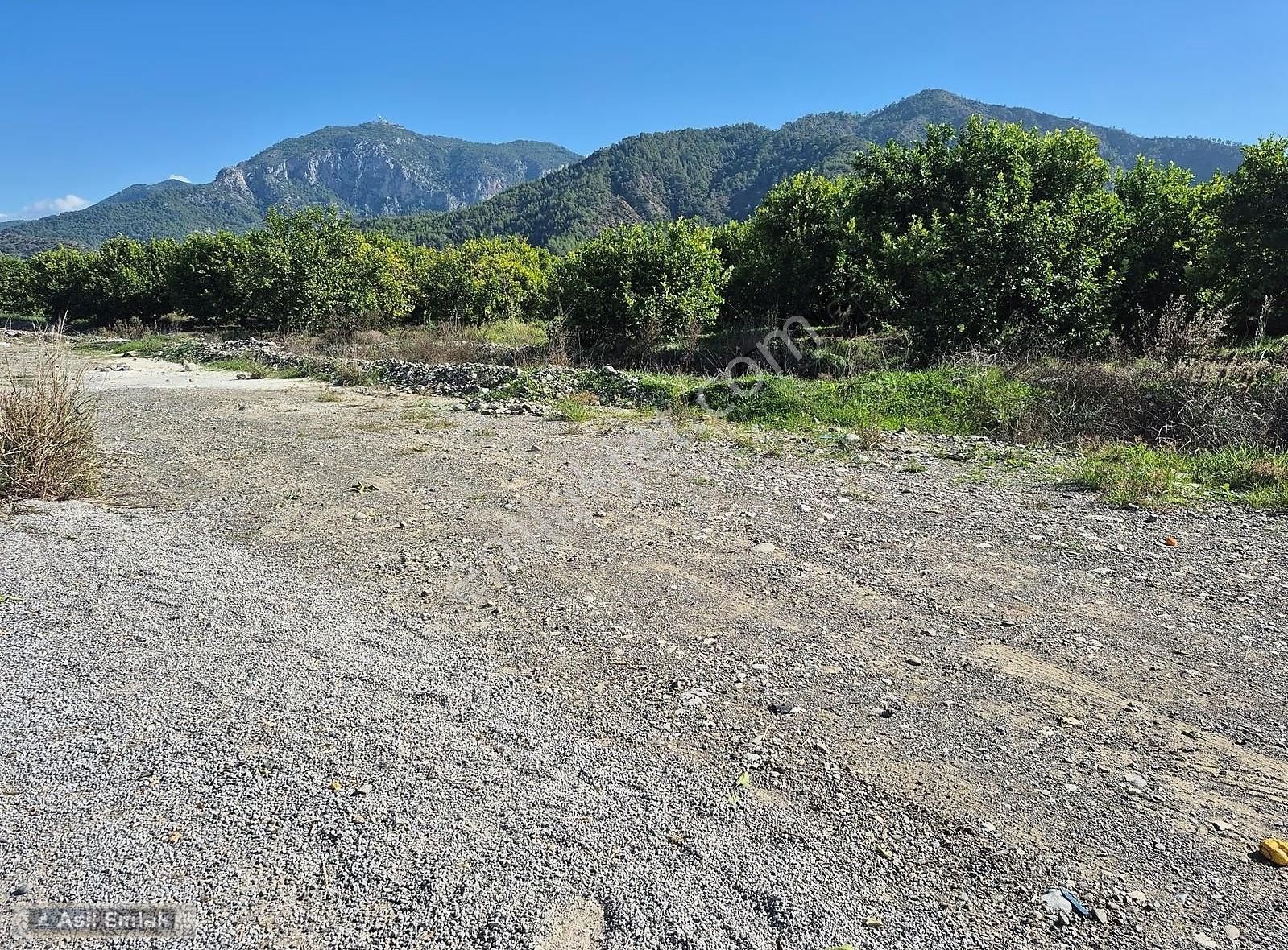 Asil Emlaktan Ortaca Çaylı Mah. De Satılık 7 Dönüm Tarla - Görsel 14