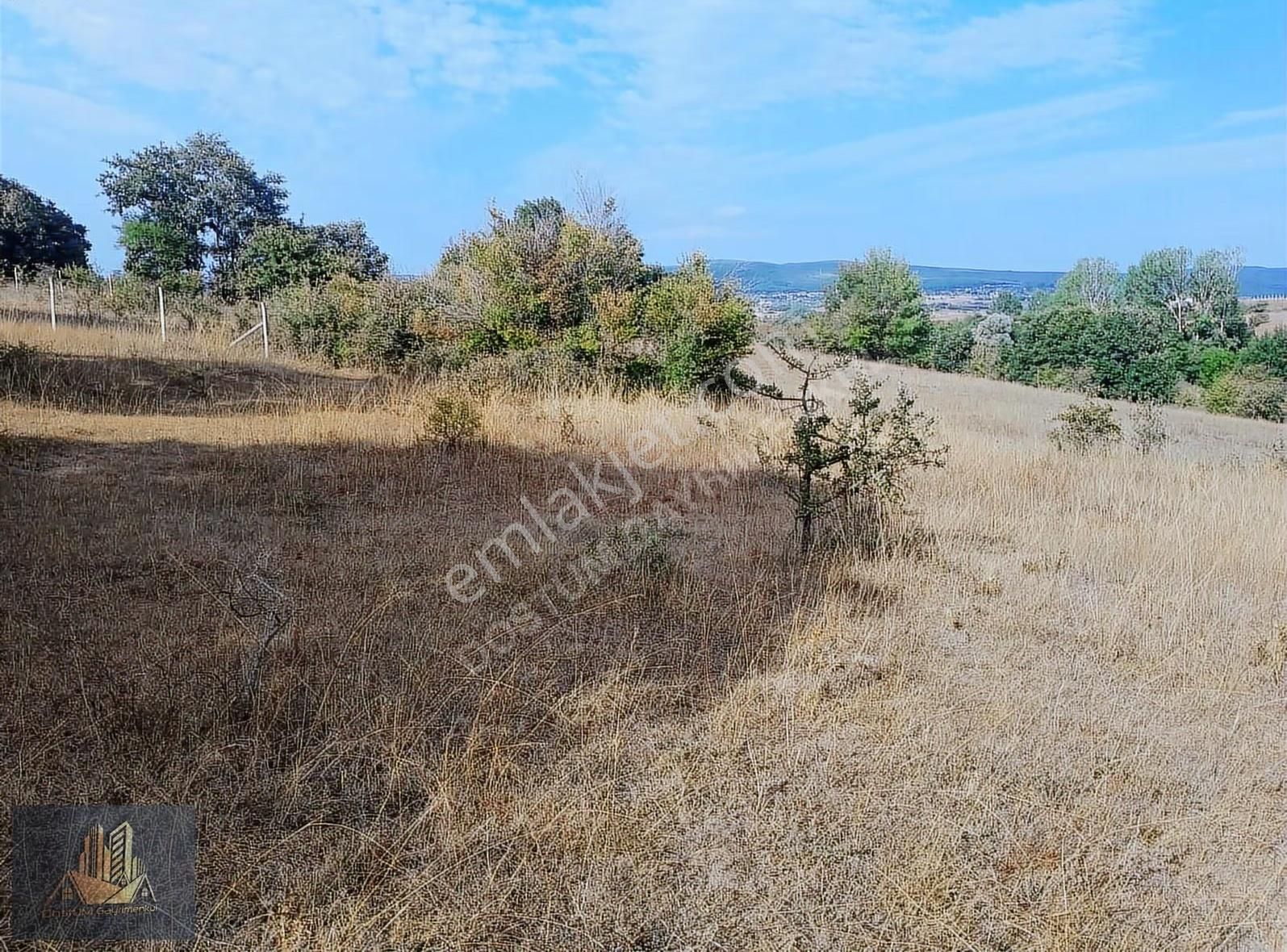 Çatalca Binkılıç'ta Yatırımlık 988 M2 Tarla - Görsel 3