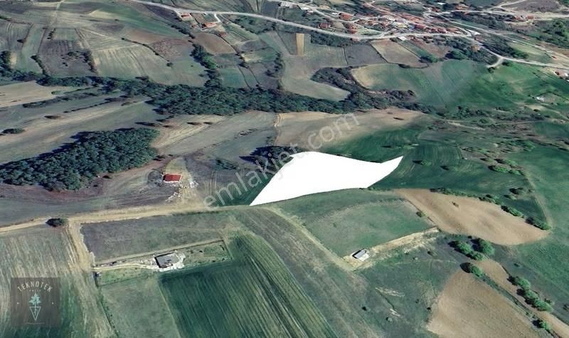 İzmitin Yeni Gözdesi Kaynarca Köyünde Satılık Tarla - Görsel 8