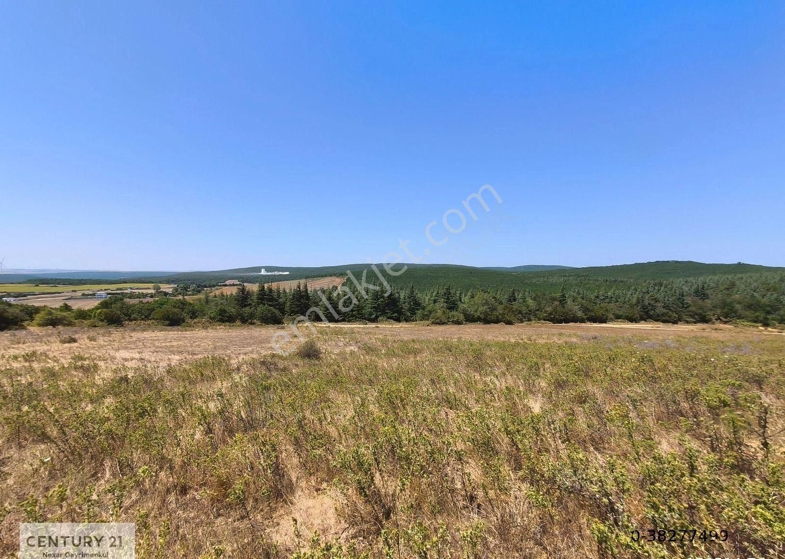 C21nexar-çatalca Kestanelikte 5059 M2 Tek Tapu Fırsat Tarla - Görsel 4