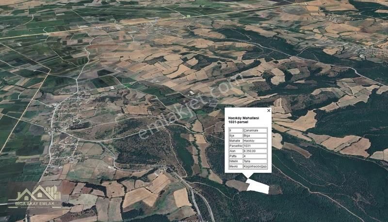 Çanakkale Biga Hacıköyde Yatırımlık Fırsat 8 Dönüm Satılık Tarla - Görsel 5
