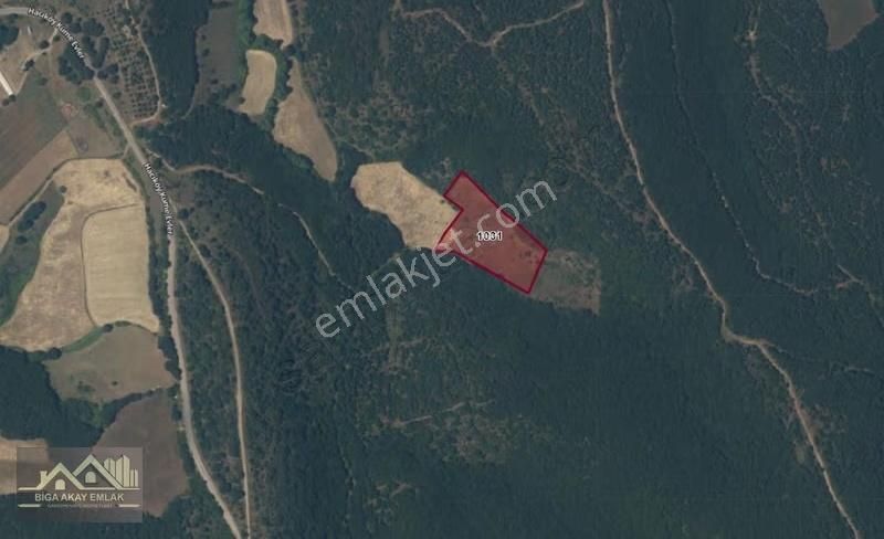 Çanakkale Biga Hacıköyde Yatırımlık Fırsat 8 Dönüm Satılık Tarla - Görsel 4