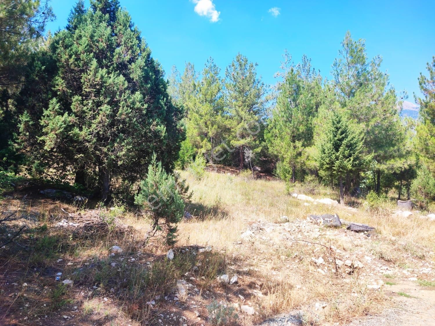 Kar Emlaktan Eski Konacıkda 240 M2 Satılık Arsa - Görsel 4