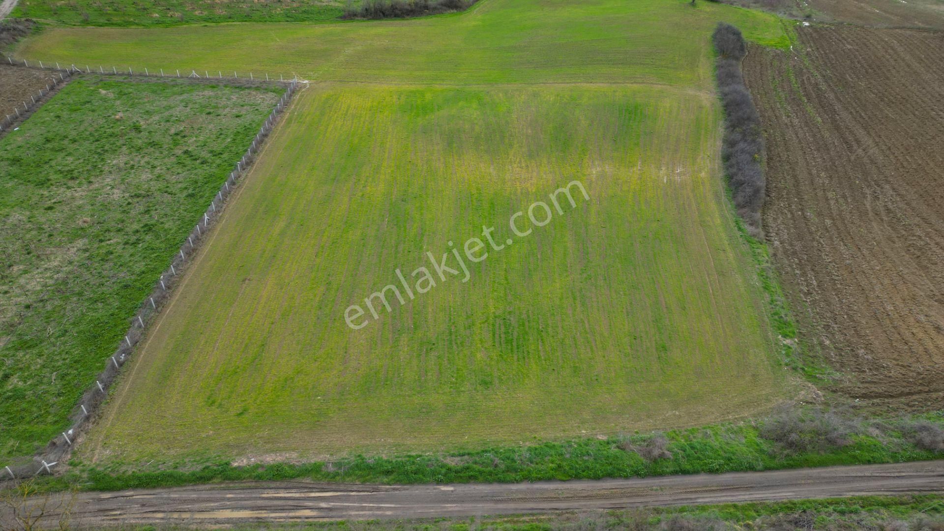 Uzmanlar'dan Karamürsel Yalakdere 6780 M2 Satılık Tarla - Görsel 7