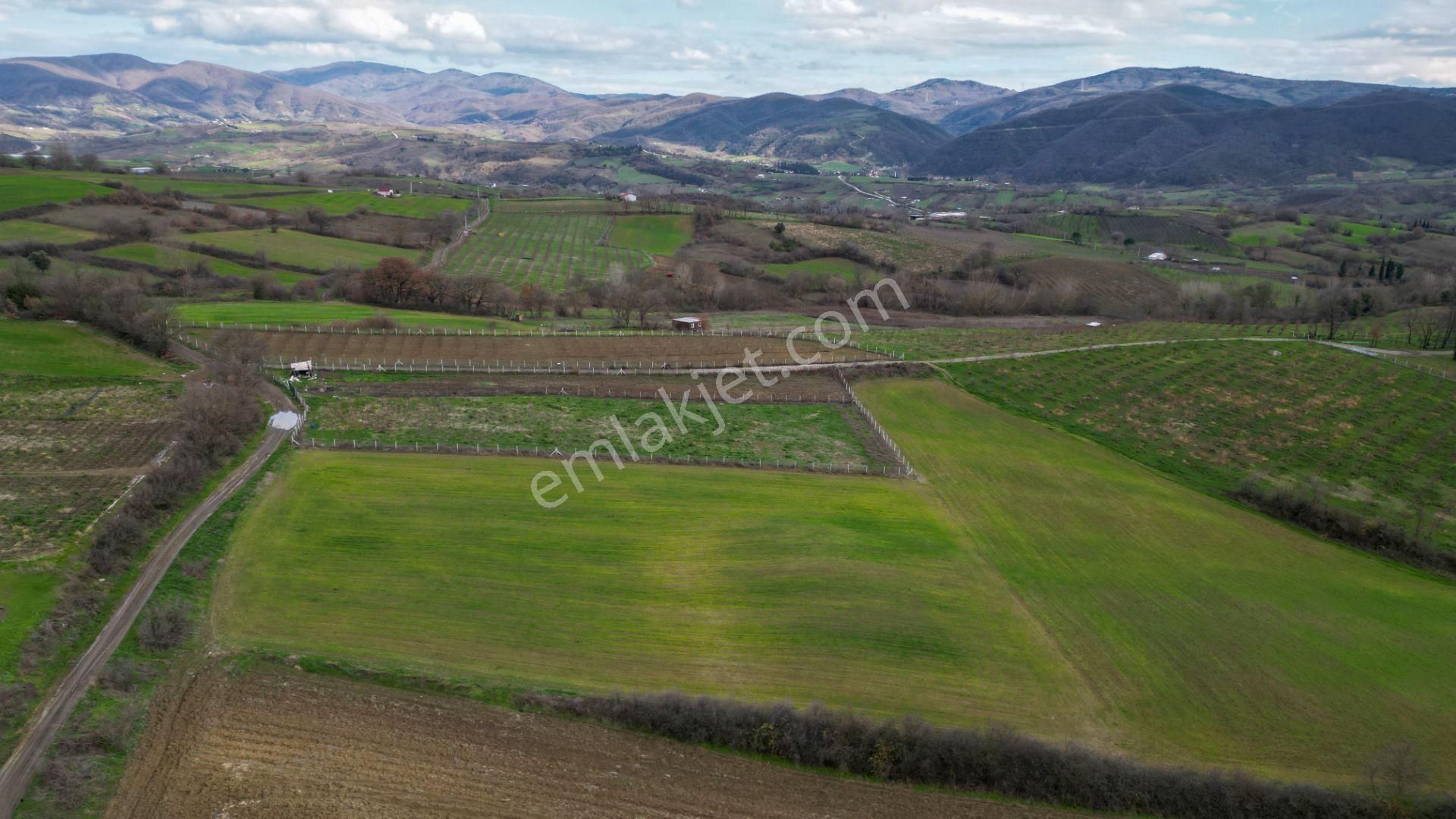 Uzmanlar'dan Karamürsel Yalakdere 6780 M2 Satılık Tarla - Görsel 12