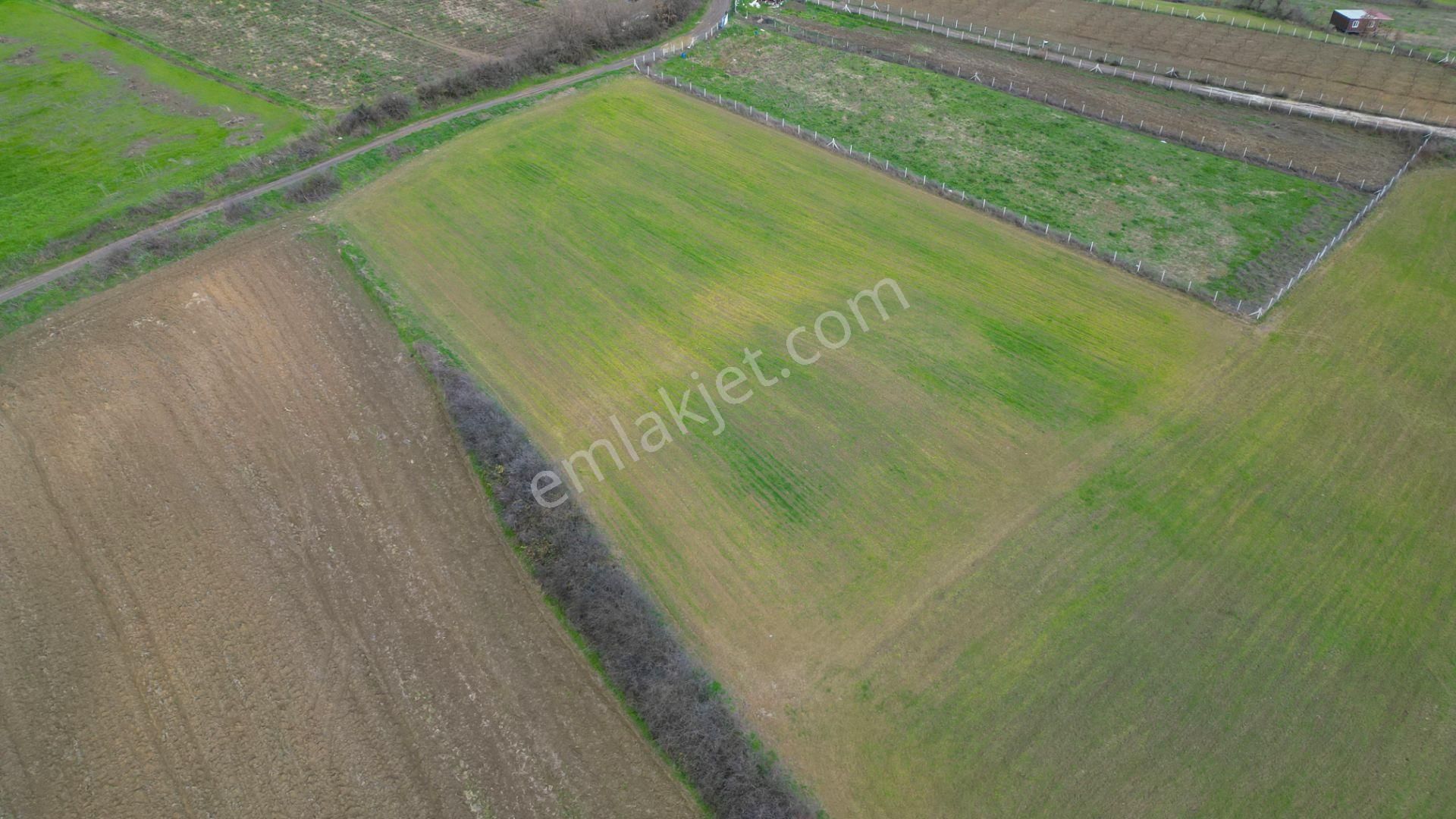 Uzmanlar'dan Karamürsel Yalakdere 6780 M2 Satılık Tarla - Görsel 10