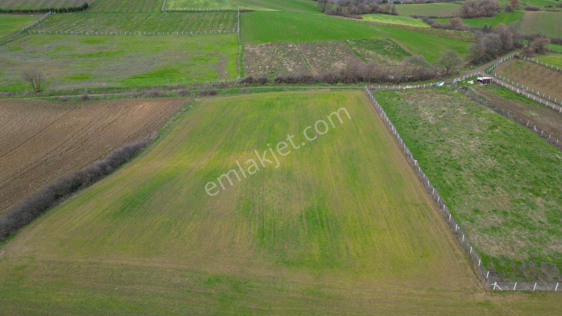 Uzmanlar'dan Karamürsel Yalakdere 6780 M2 Satılık Tarla - Görsel 3