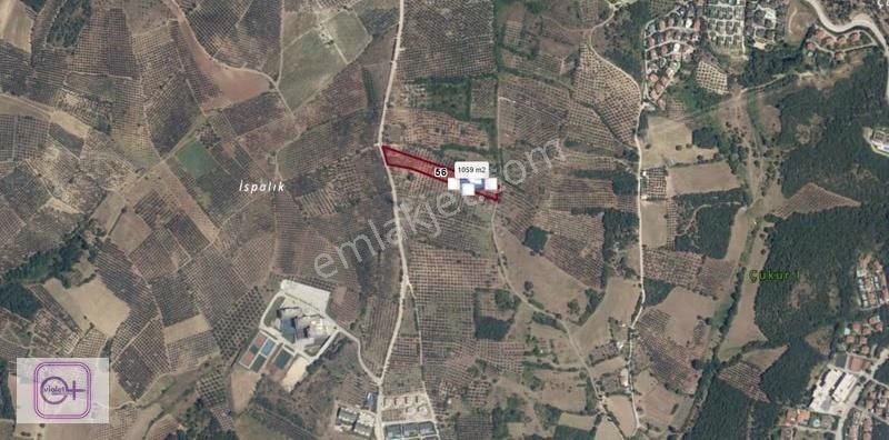 Violetten Bursa Mudanya Bademli Satılık 7.250 M2 Arazi/tarla - Görsel 6
