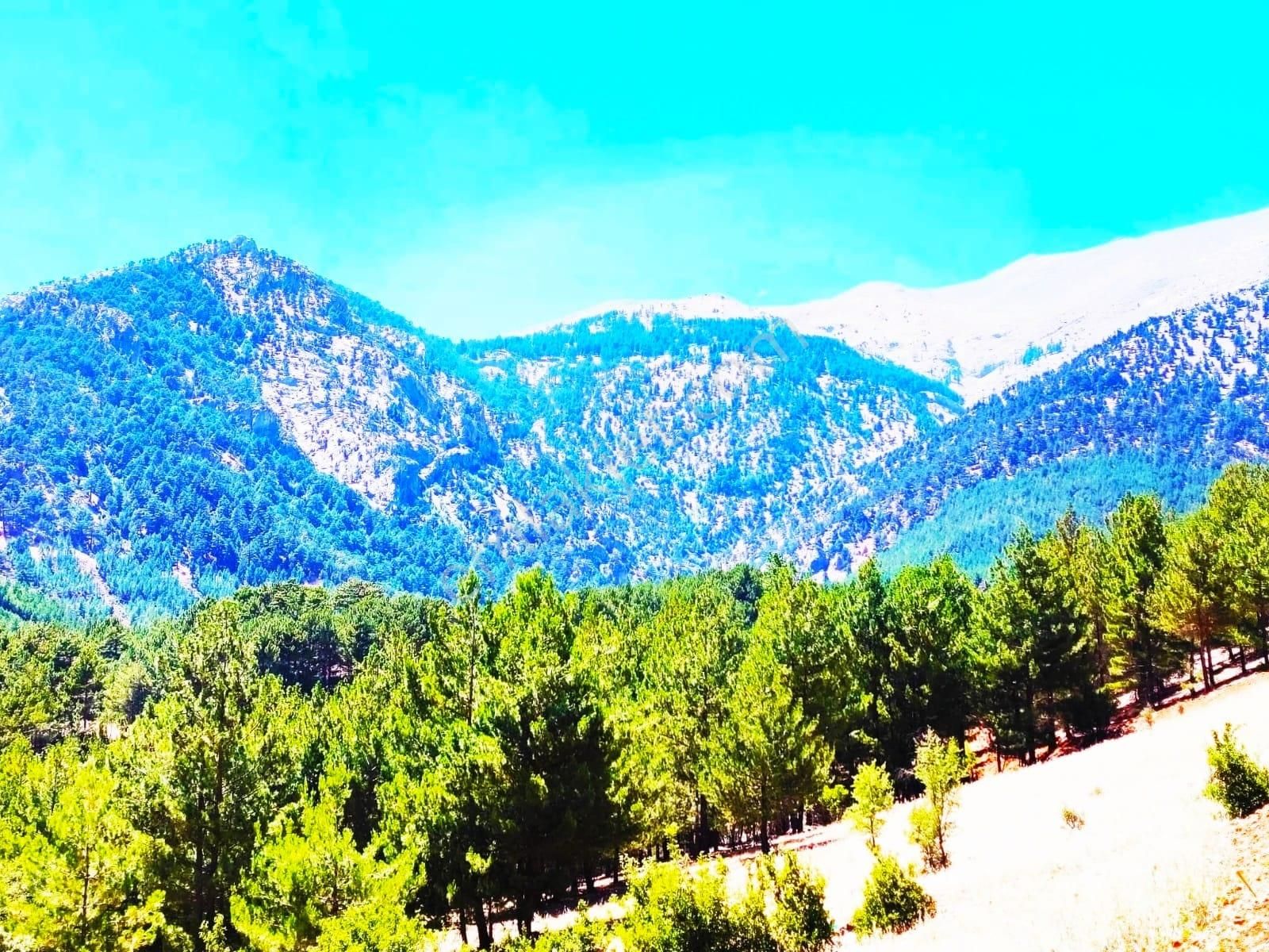Kar Emlaktan Yeni Konacık Efes Sitesi Yanı 500 M2 Satılık Arsa - Görsel 29