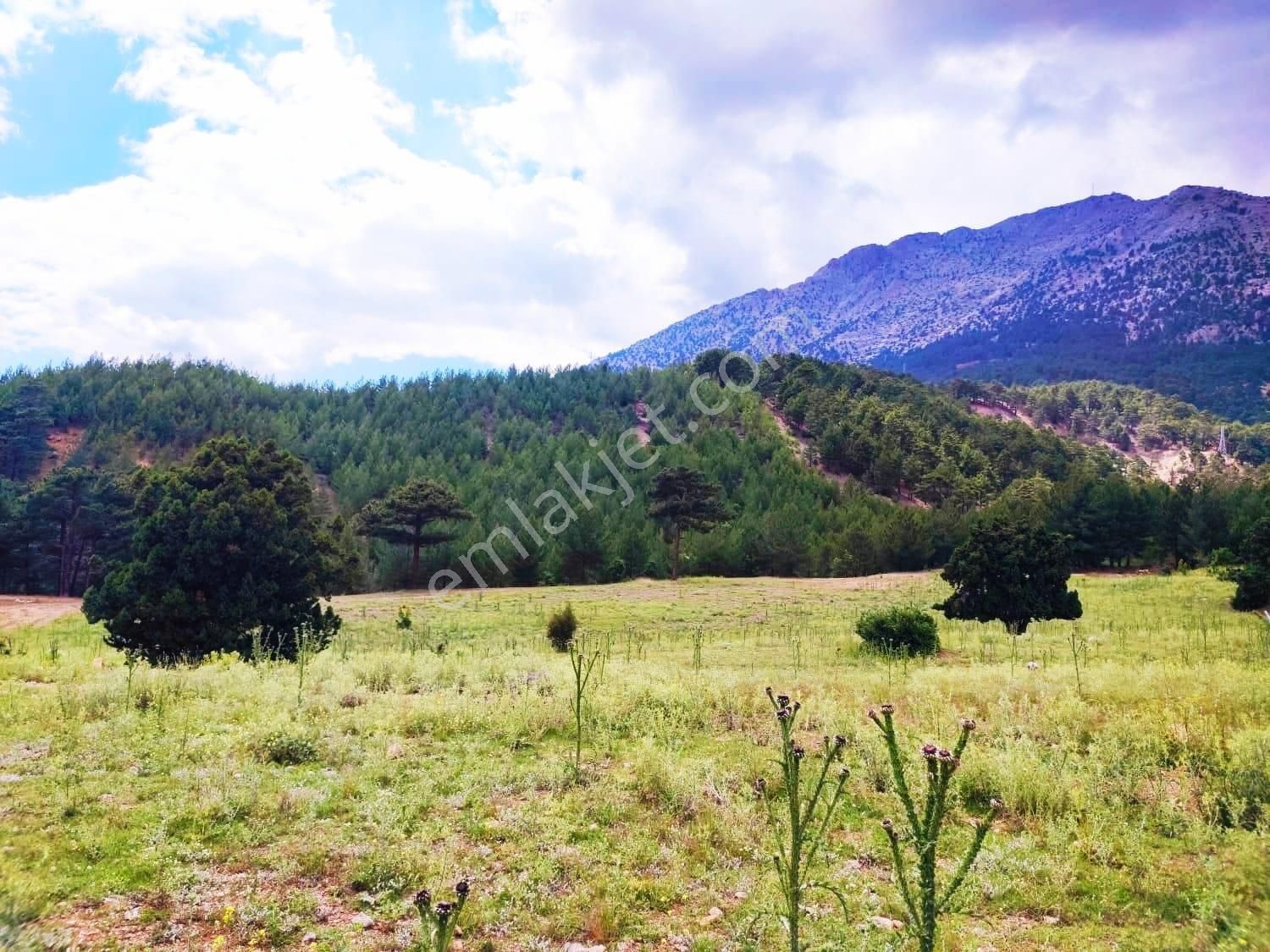 Kar Emlaktan Alpu Yaylasında Yüksek Konumlu 500 M2 Satılık Arsa - Görsel 26