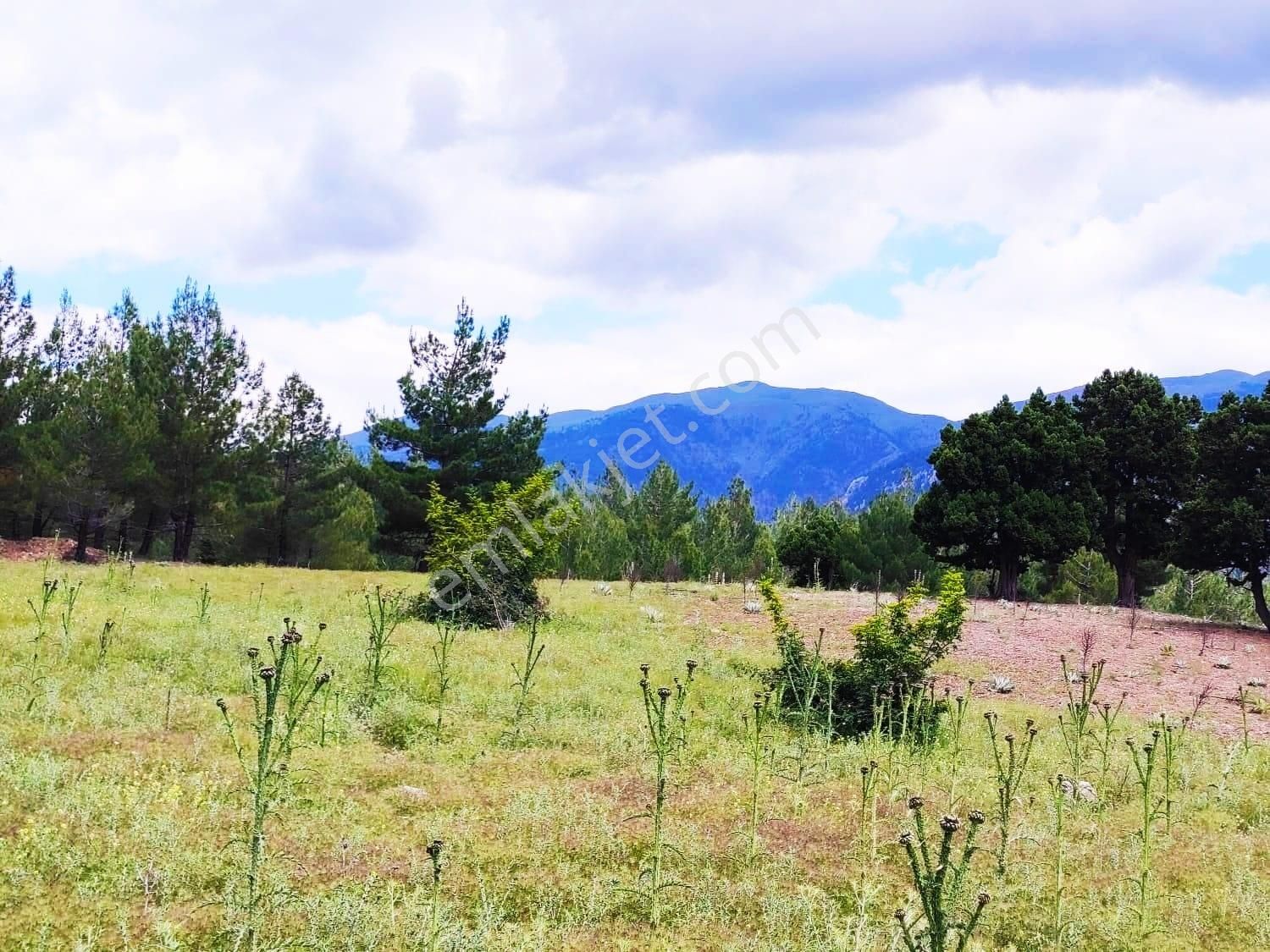 Kar Emlaktan Alpu Yaylasında Yüksek Konumlu 500 M2 Satılık Arsa - Görsel 18