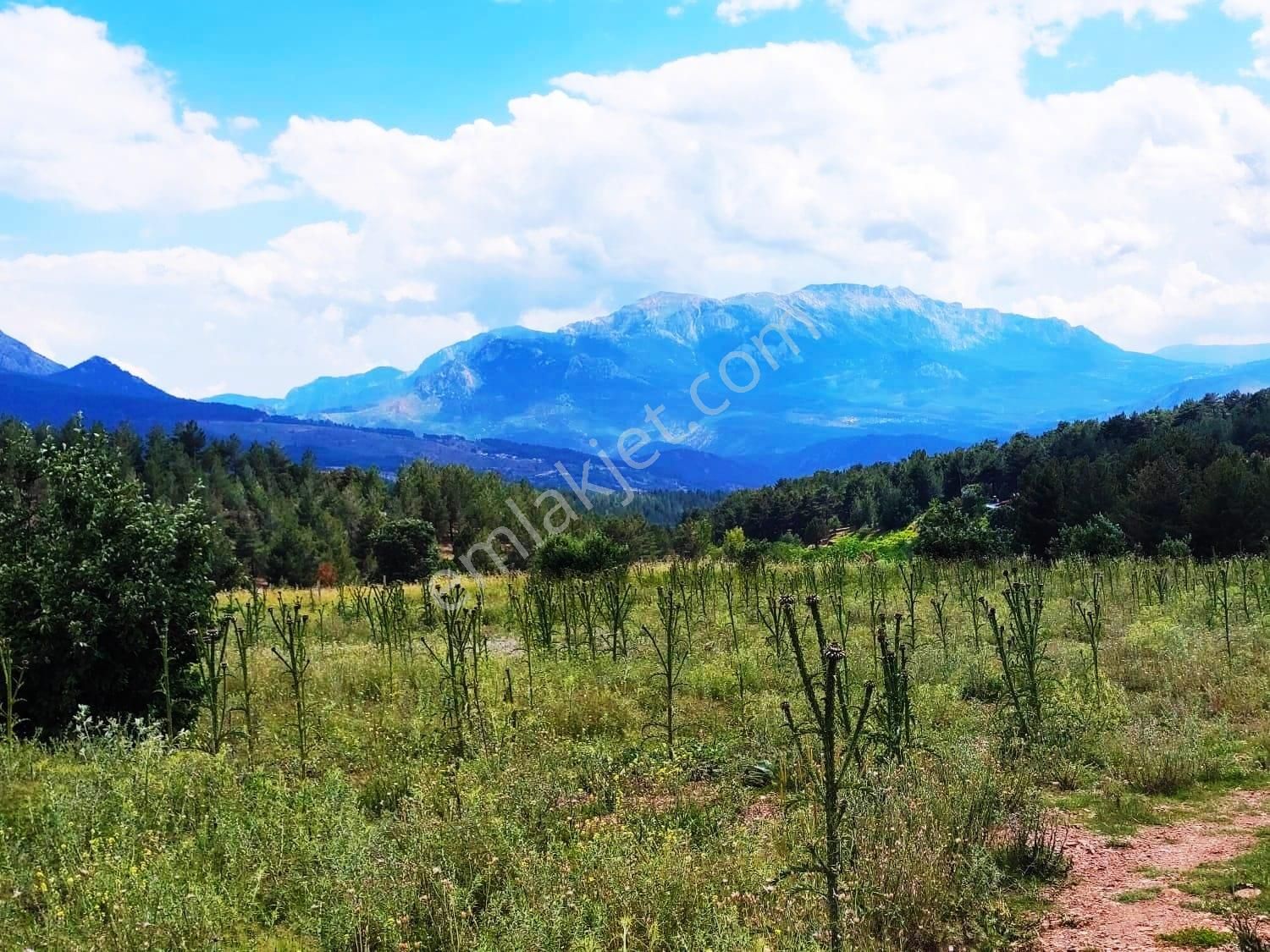 Kar Emlaktan Alpu Yaylasında Yüksek Konumlu 500 M2 Satılık Arsa - Görsel 9