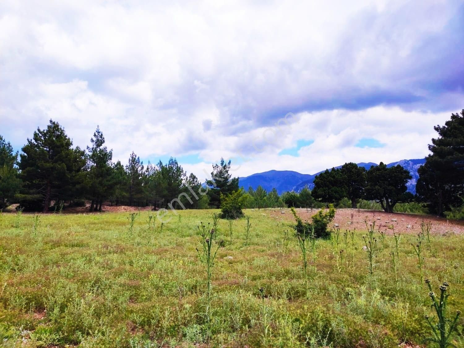 Kar Emlaktan Alpu Yaylasında Yüksek Konumlu 500 M2 Satılık Arsa - Görsel 13