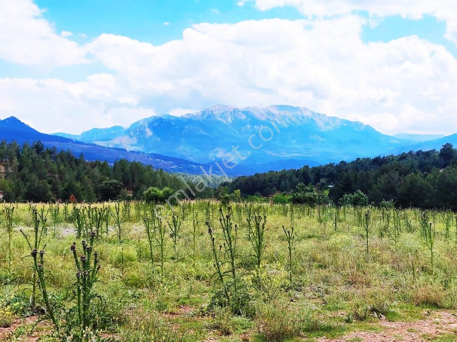Kar Emlaktan Alpu Yaylasında Yüksek Konumlu 500 M2 Satılık Arsa - Görsel 8