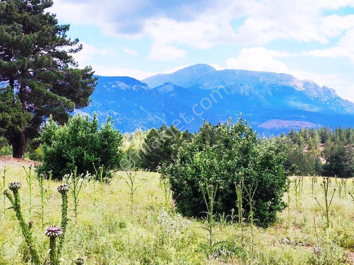 Kar Emlaktan Alpu Yaylasında Yüksek Konumlu 500 M2 Satılık Arsa - Görsel 6