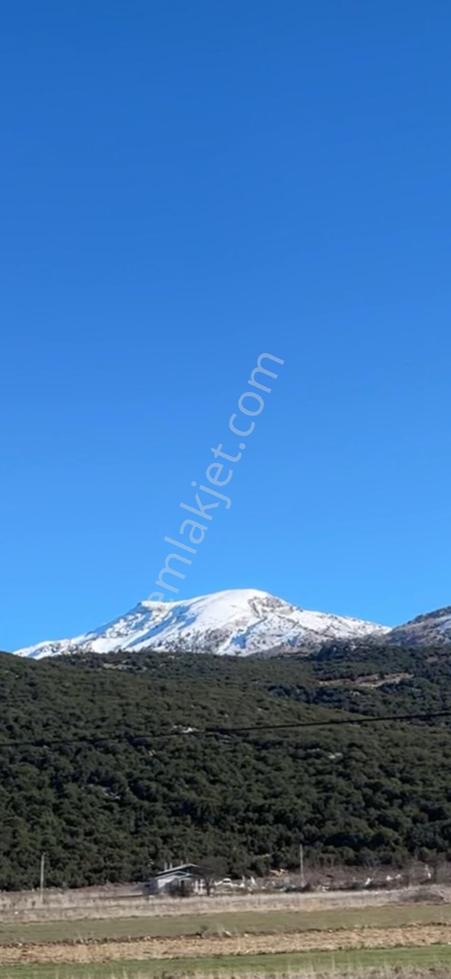 Acil Fiyatı Düştü! Seki Temel Mah. 3138 Mt Köyiçi Resmi İmarlıdır. - Görsel 9