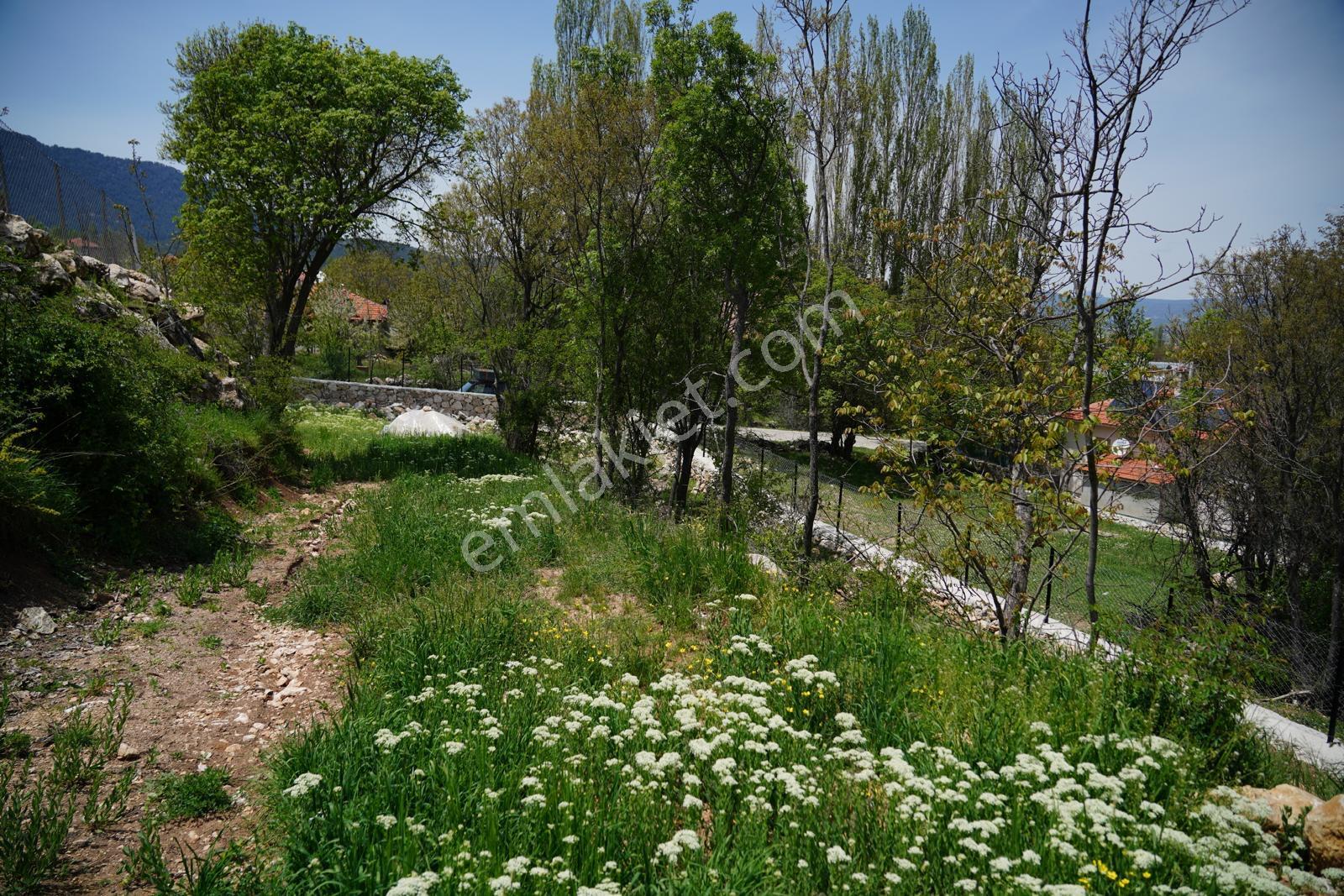 Seydikemer Seki Temel Mah. 3138 Mt Köyiçi Resmi 250 Mt2 İmarlıdır. - Görsel 7