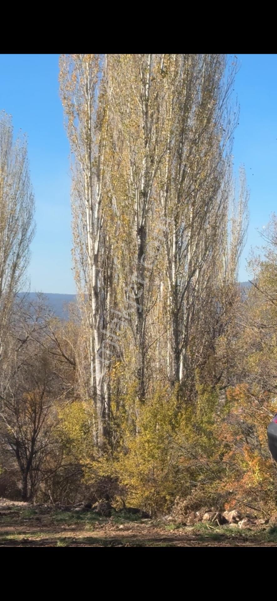Acil Fiyatı Düştü! Seki Temel Mah. 3138 Mt Köyiçi Resmi İmarlıdır. - Görsel 8