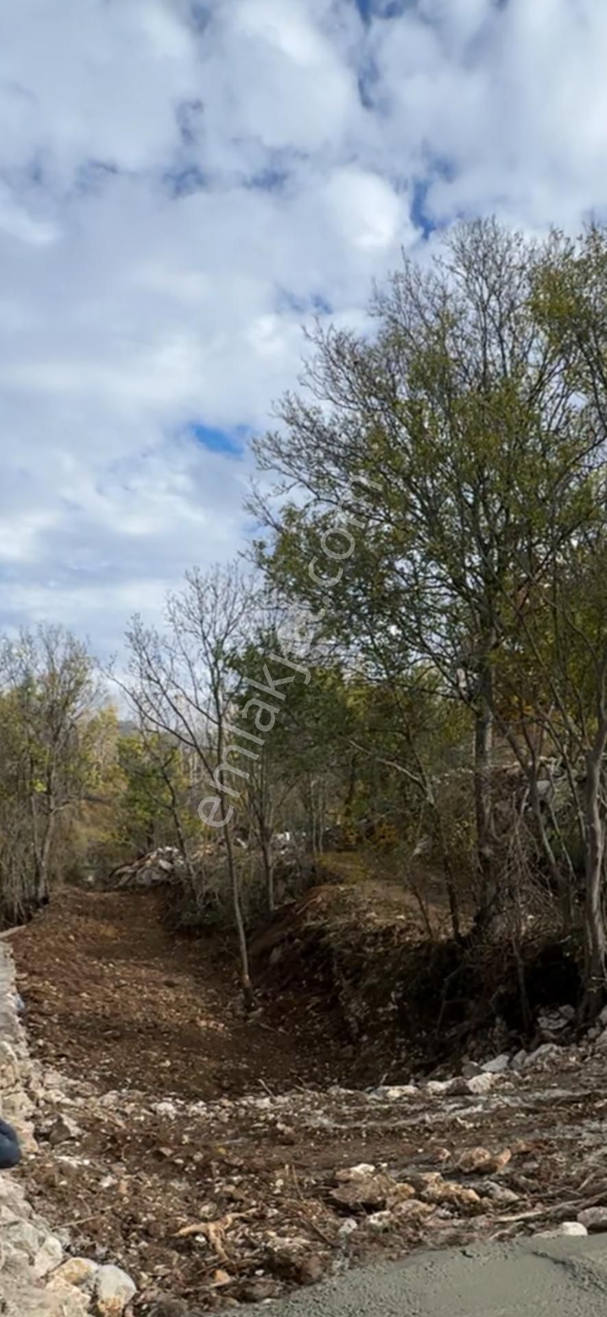 Acil Fiyatı Düştü! Seki Temel Mah. 3138 Mt Köyiçi Resmi İmarlıdır. - Görsel 12