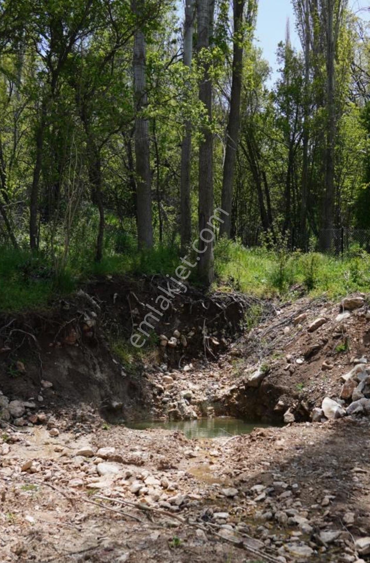 Seydikemer Seki Temel Mah. 3138 Mt Köyiçi Resmi 250 Mt2 İmarlıdır. - Görsel 9