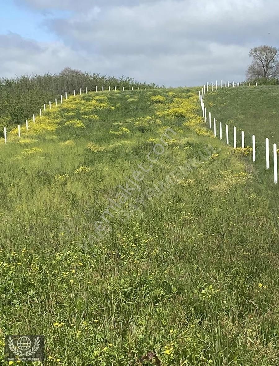 Vadi Gayrimenkulden Karadivan Da Satılık Arazi - Görsel 5