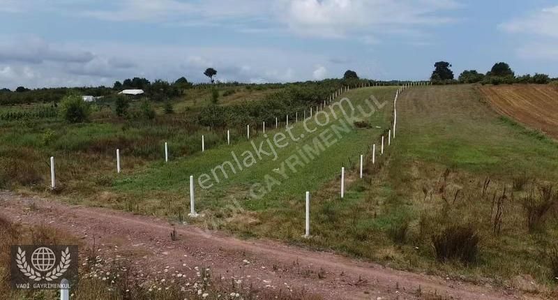 Vadi Gayrimenkulden Karadivan Da Satılık Arazi - Görsel 3